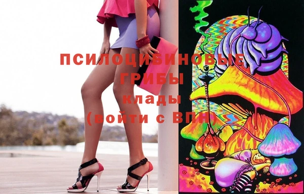 кокс Арсеньев