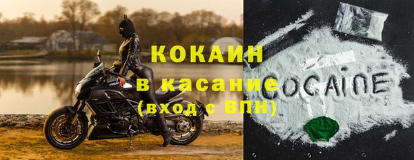 дживик Аркадак